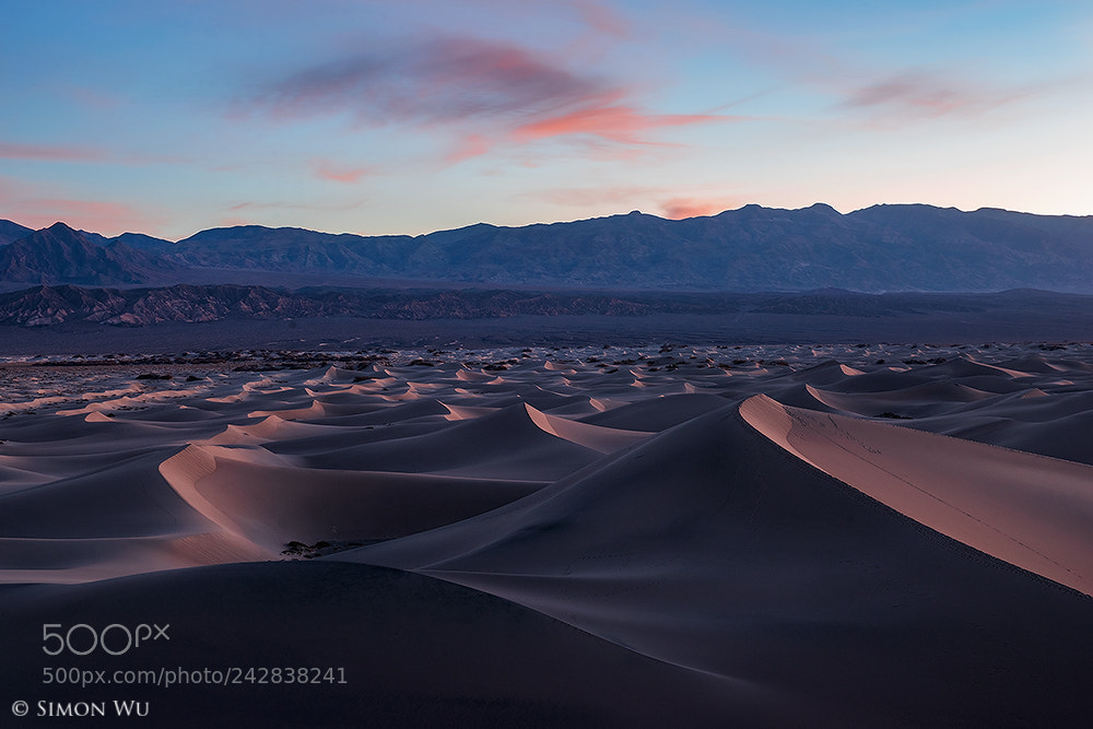 Nikon D800 sample photo. Dreamy dunes photography