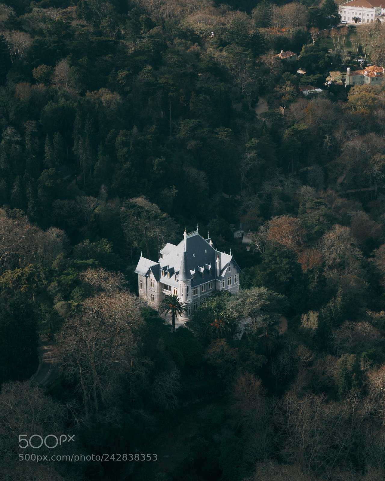 Olympus OM-D E-M10 II sample photo. Sintra castle photography