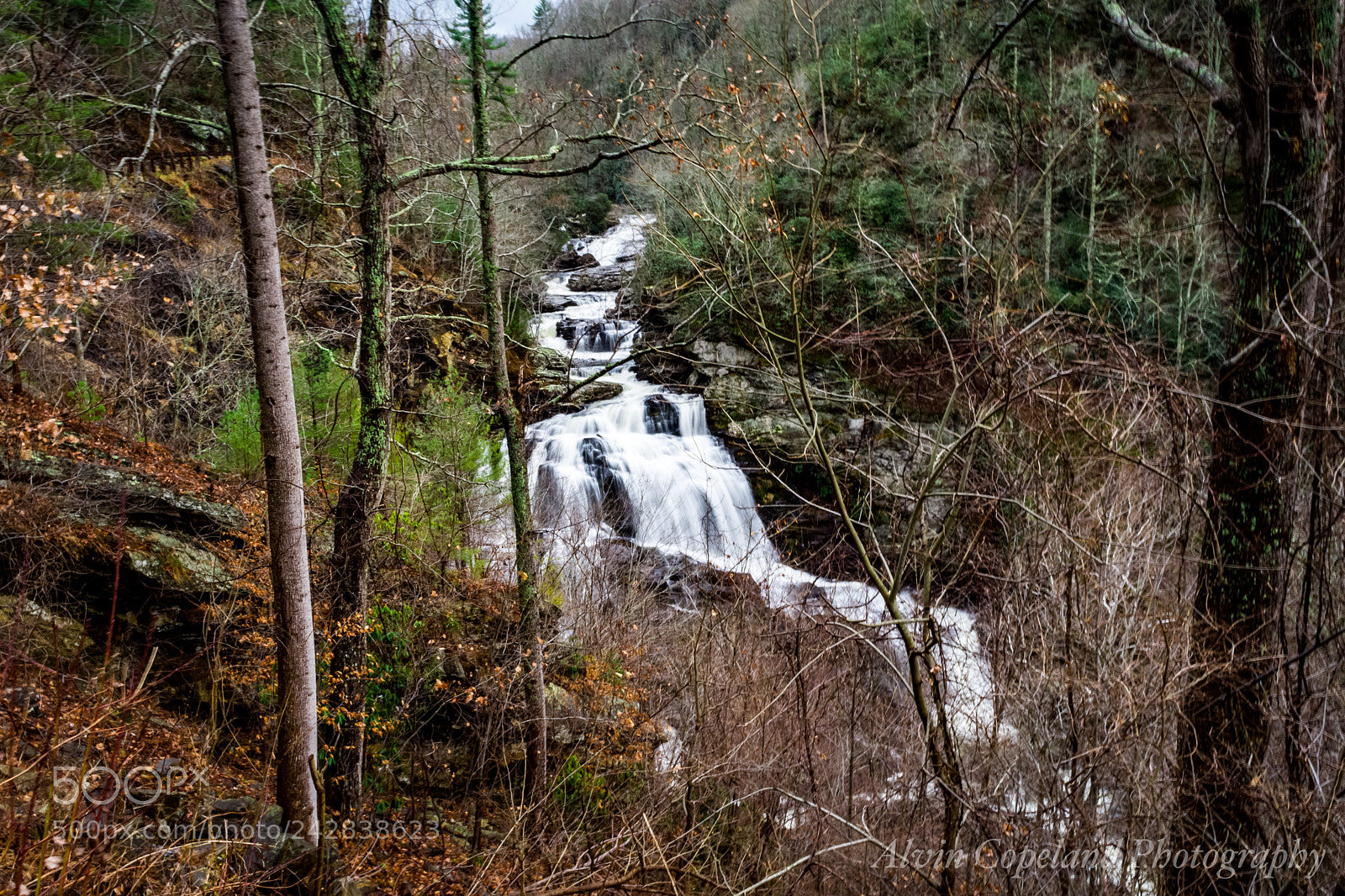 Nikon D7200 sample photo. Roadside view photography