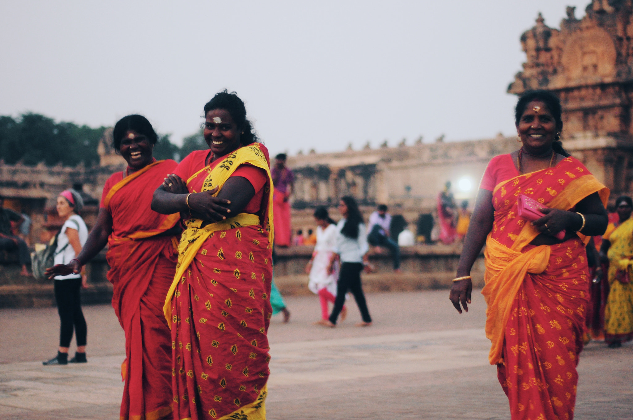 Nikon D90 + Nikon AF Nikkor 50mm F1.8D sample photo. Tanjavur, 2017 dec photography