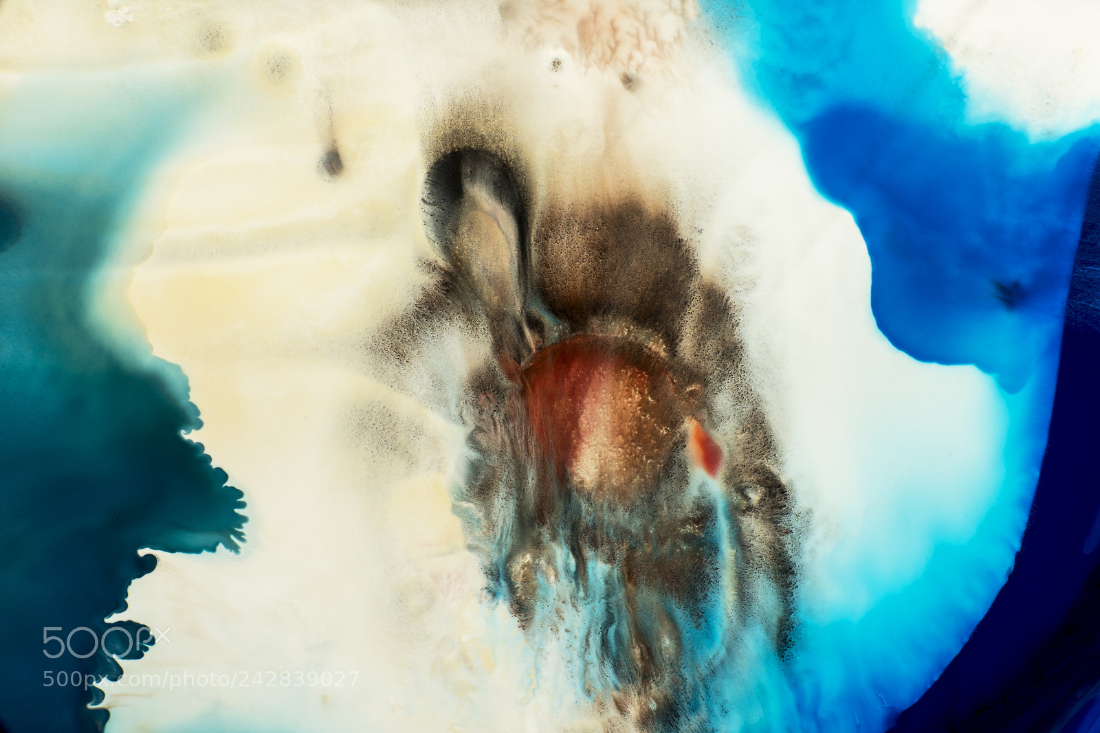 Sony a7R sample photo. Plate 5738 photography