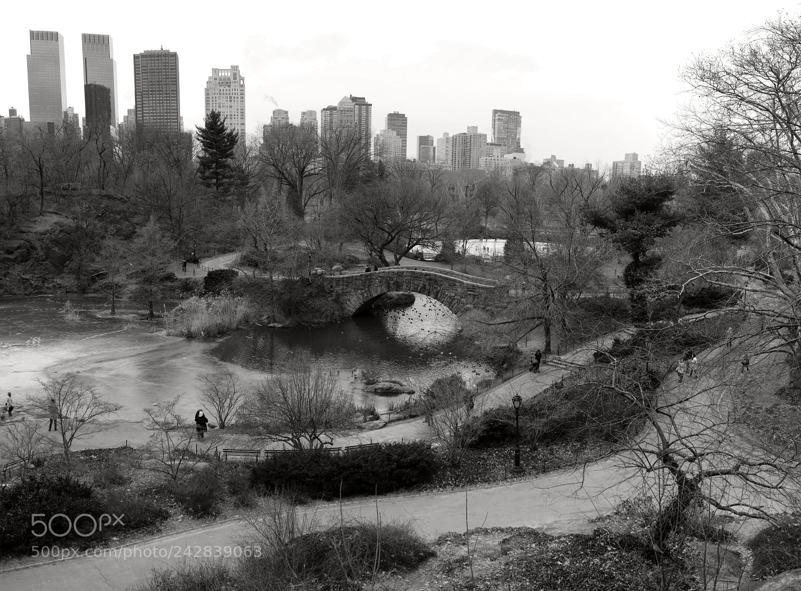 Sony Cyber-shot DSC-RX1R II sample photo. Central park south iii photography
