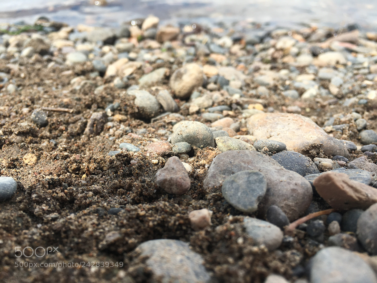 Apple iPhone 6s sample photo. Untitled photography