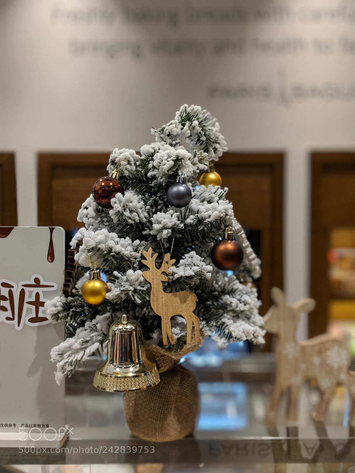 Google Pixel 2 XL sample photo. Deers photography