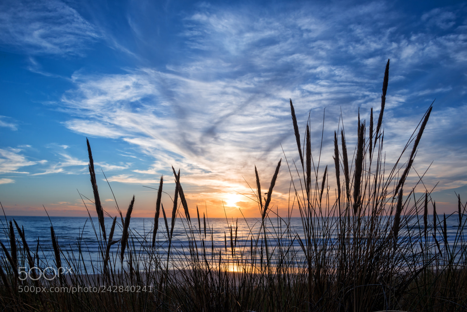Nikon D600 sample photo. Sunset on atlantic ocean photography