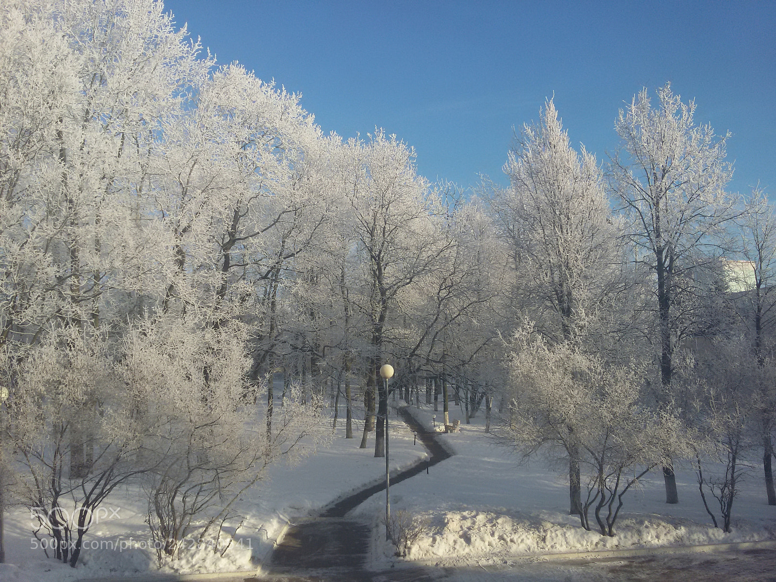Samsung Galaxy S5 Mini sample photo. Russian winter photography