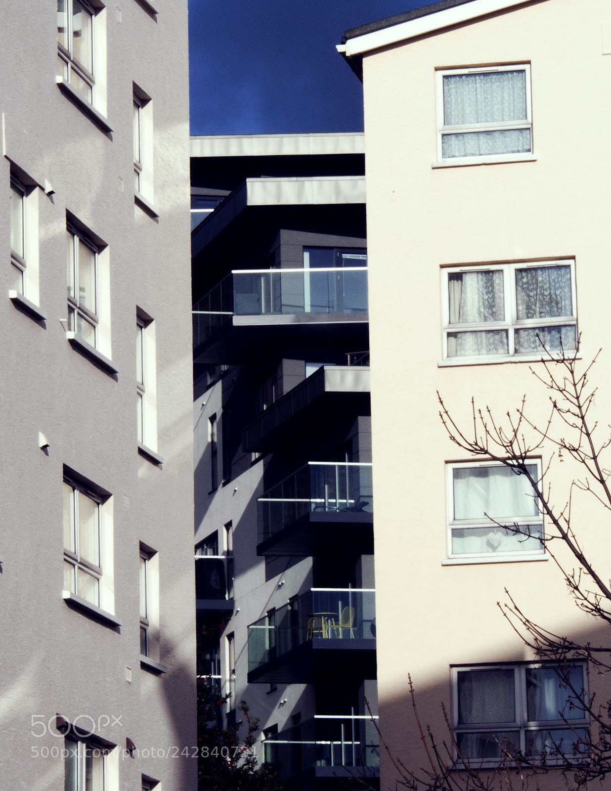 Canon EOS 650D (EOS Rebel T4i / EOS Kiss X6i) sample photo. Hidden in plain sight photography