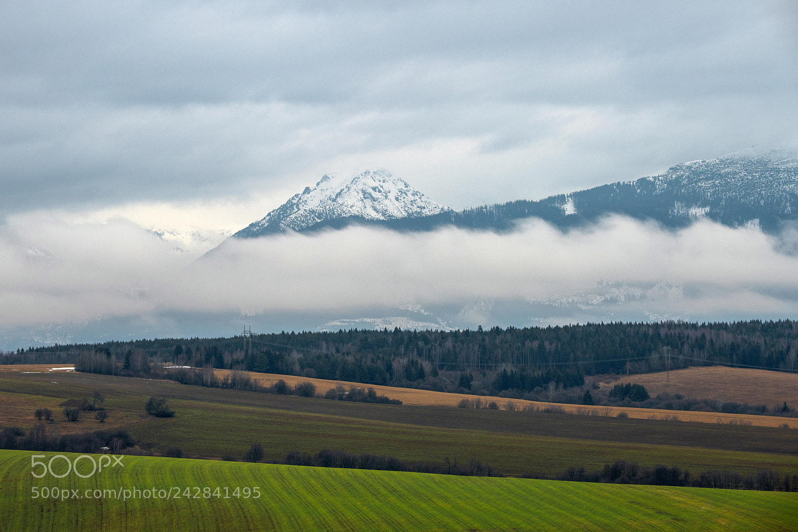 Nikon D850 sample photo. Morning mist photography