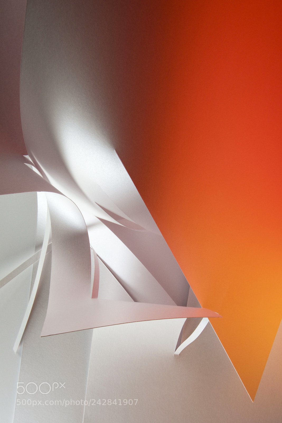Nikon D810 sample photo. The geometry of color photography