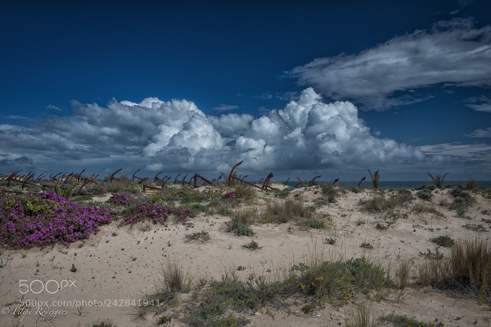 Nikon D800E sample photo. Cumulonimbus over barril beach photography