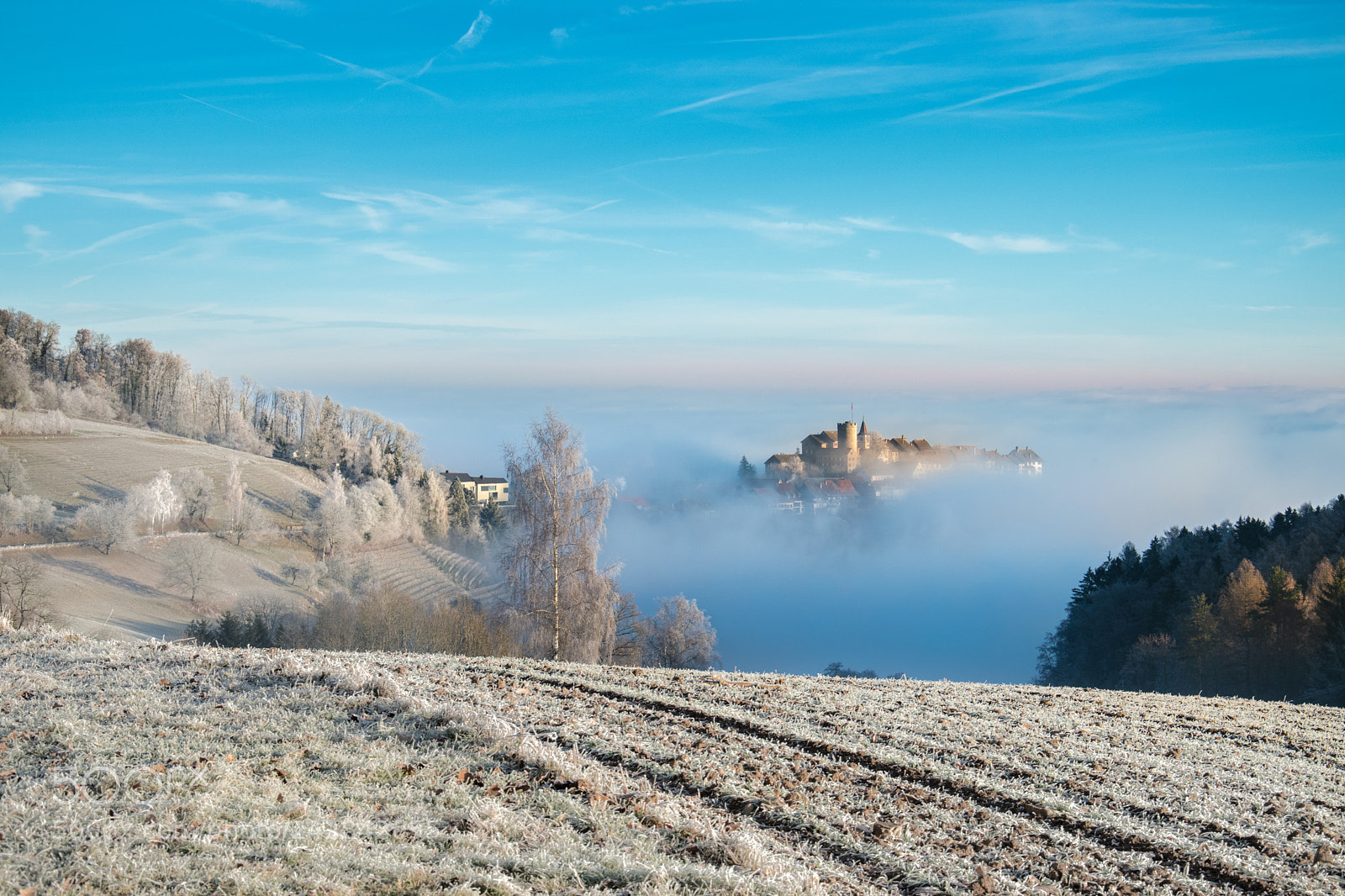 Nikon D5500 sample photo. Schloss regensberg photography