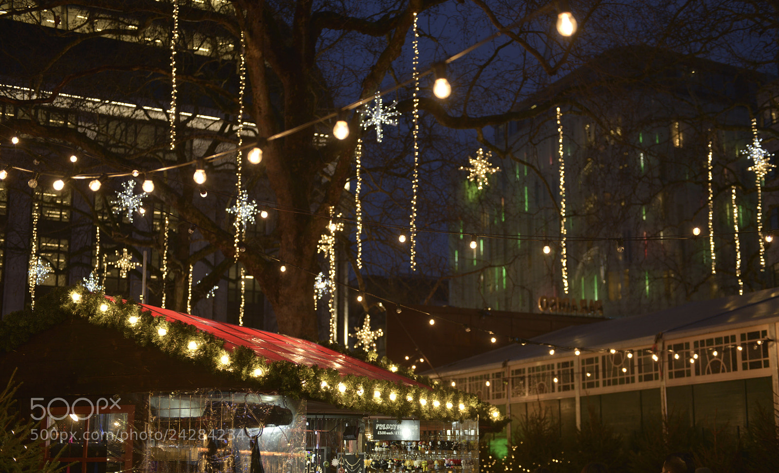 Nikon D800 sample photo. Christmas lights (2) photography
