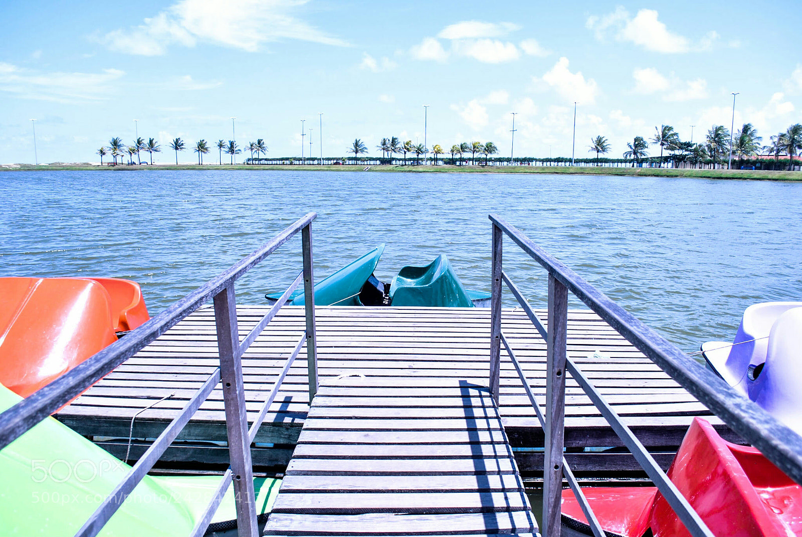 Nikon D3000 sample photo. Untitled photography
