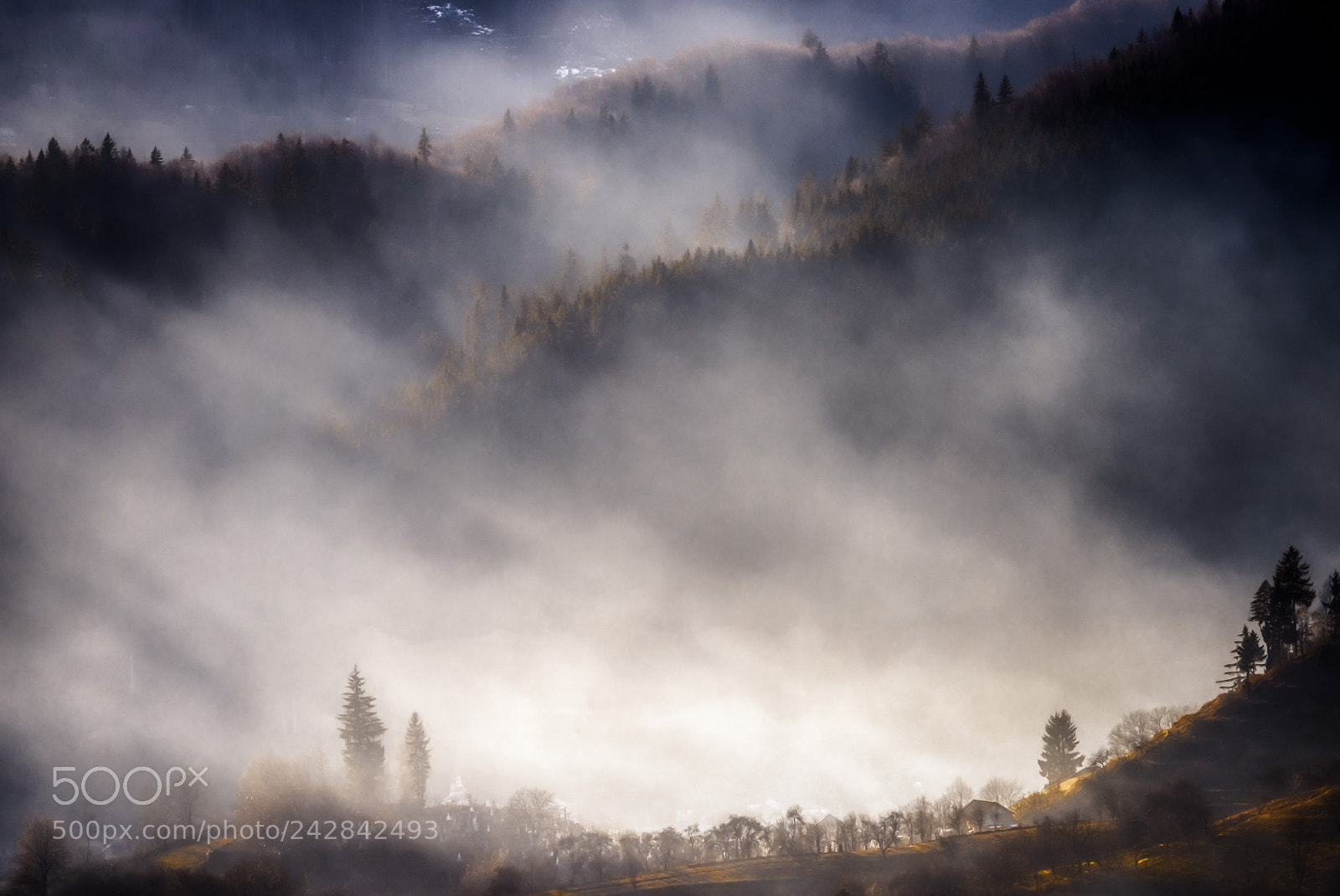 Nikon D810 sample photo. The fog on the photography