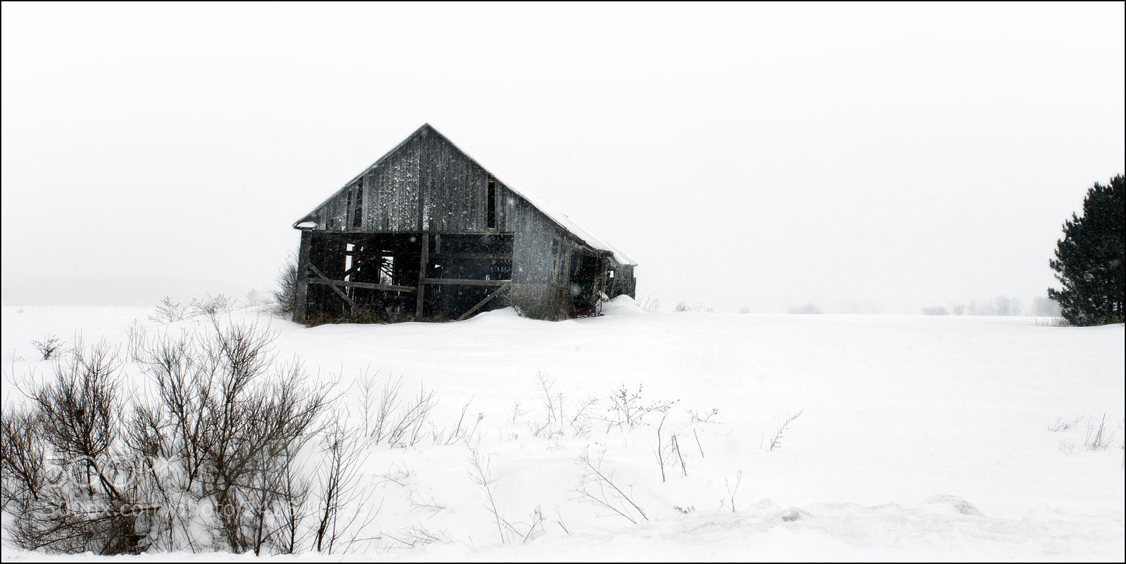Sony Alpha DSLR-A350 sample photo. Grange photography