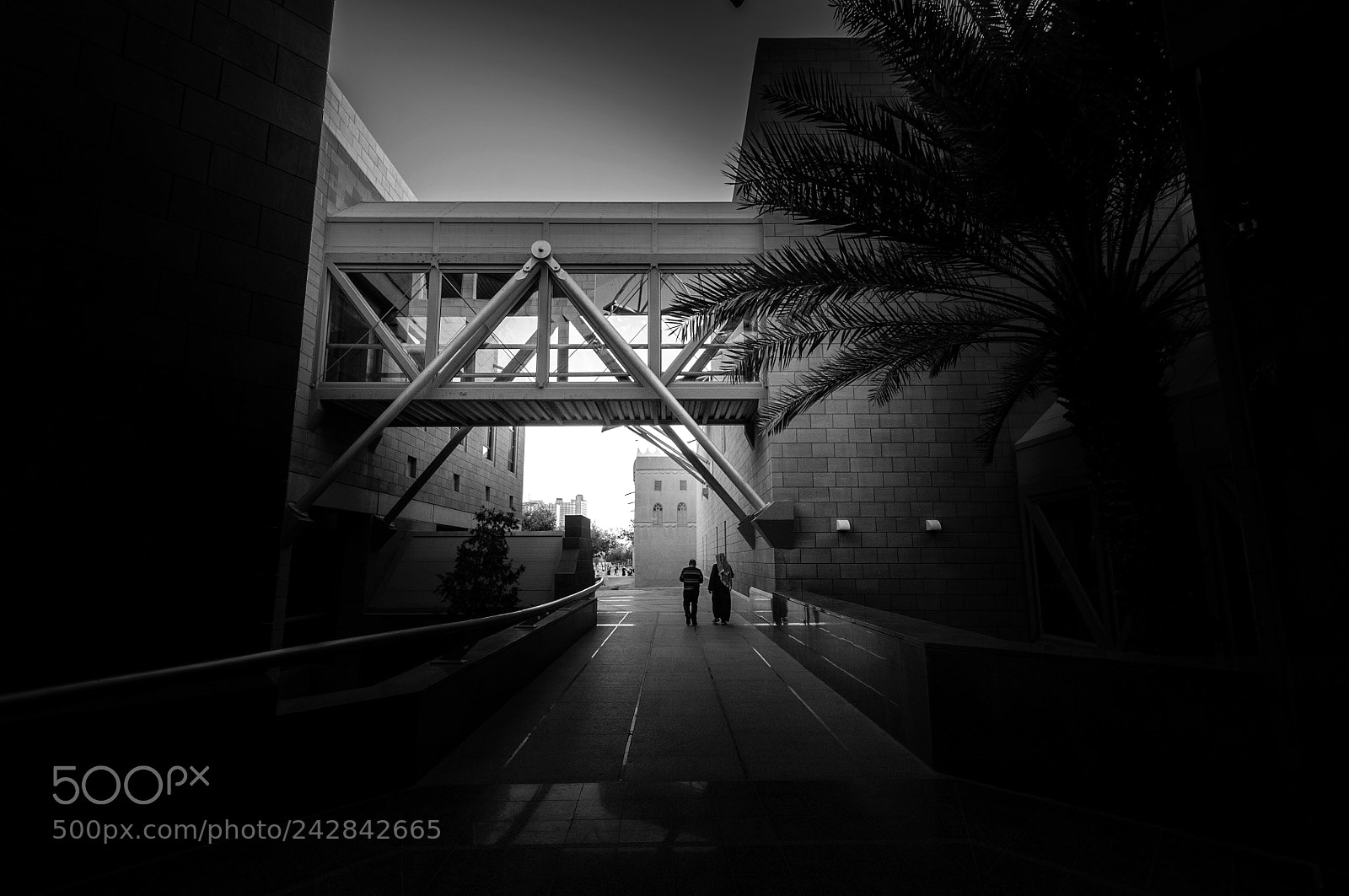 Nikon D300S sample photo. There are dark shadows photography