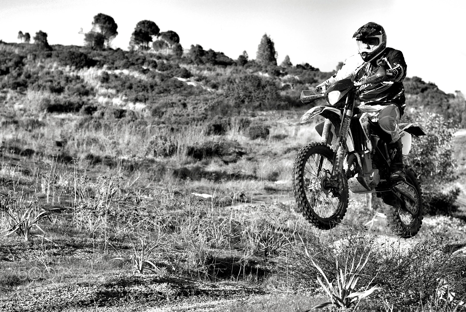 Nikon D3000 sample photo. Untitled photography