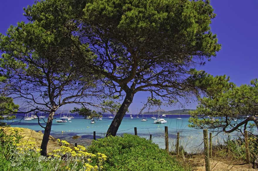 Pentax K20D sample photo. Porquerolles  island photography