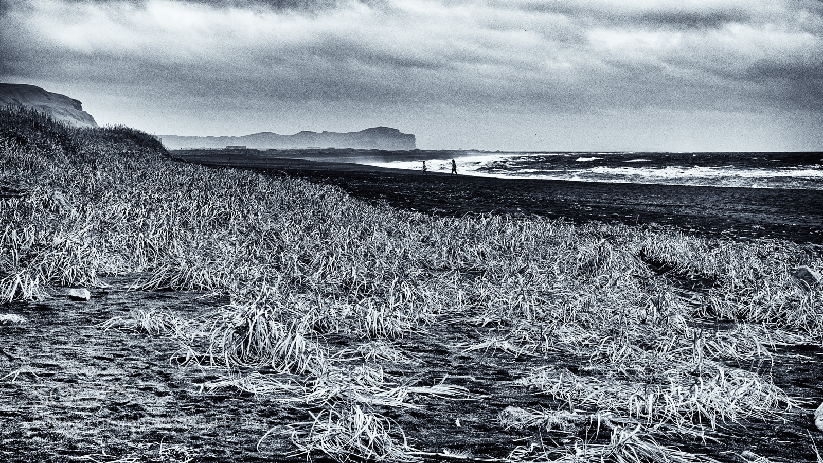 Olympus OM-D E-M1 sample photo. On the beach photography
