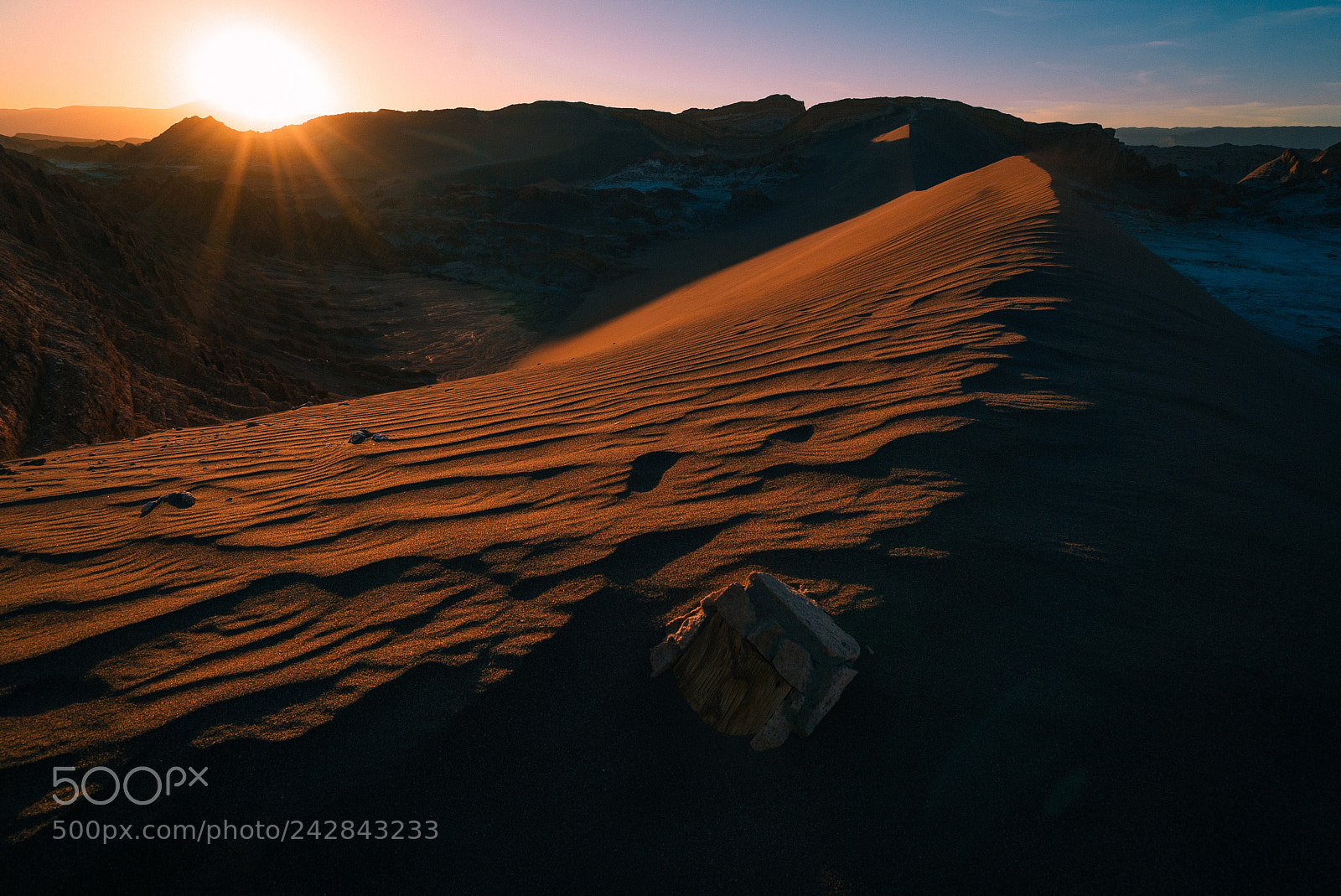 Sony a7S II sample photo. Dune it well. photography
