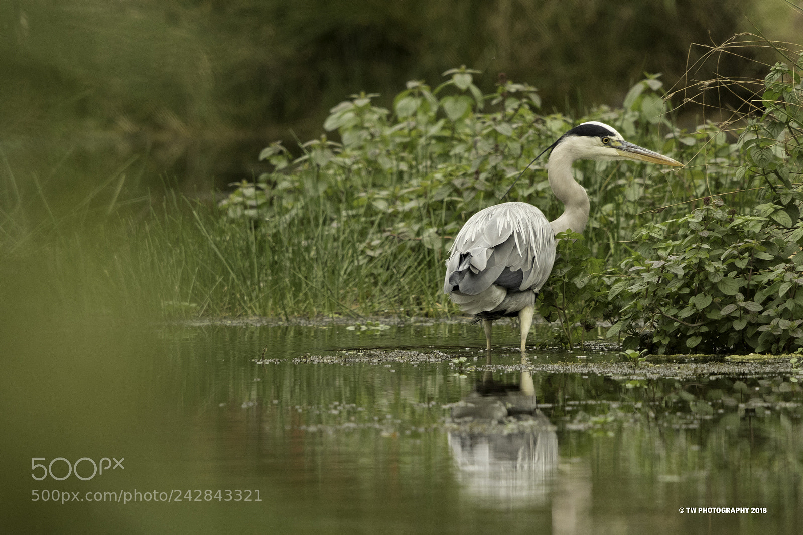 Canon EOS 7D Mark II sample photo. Fishing photography