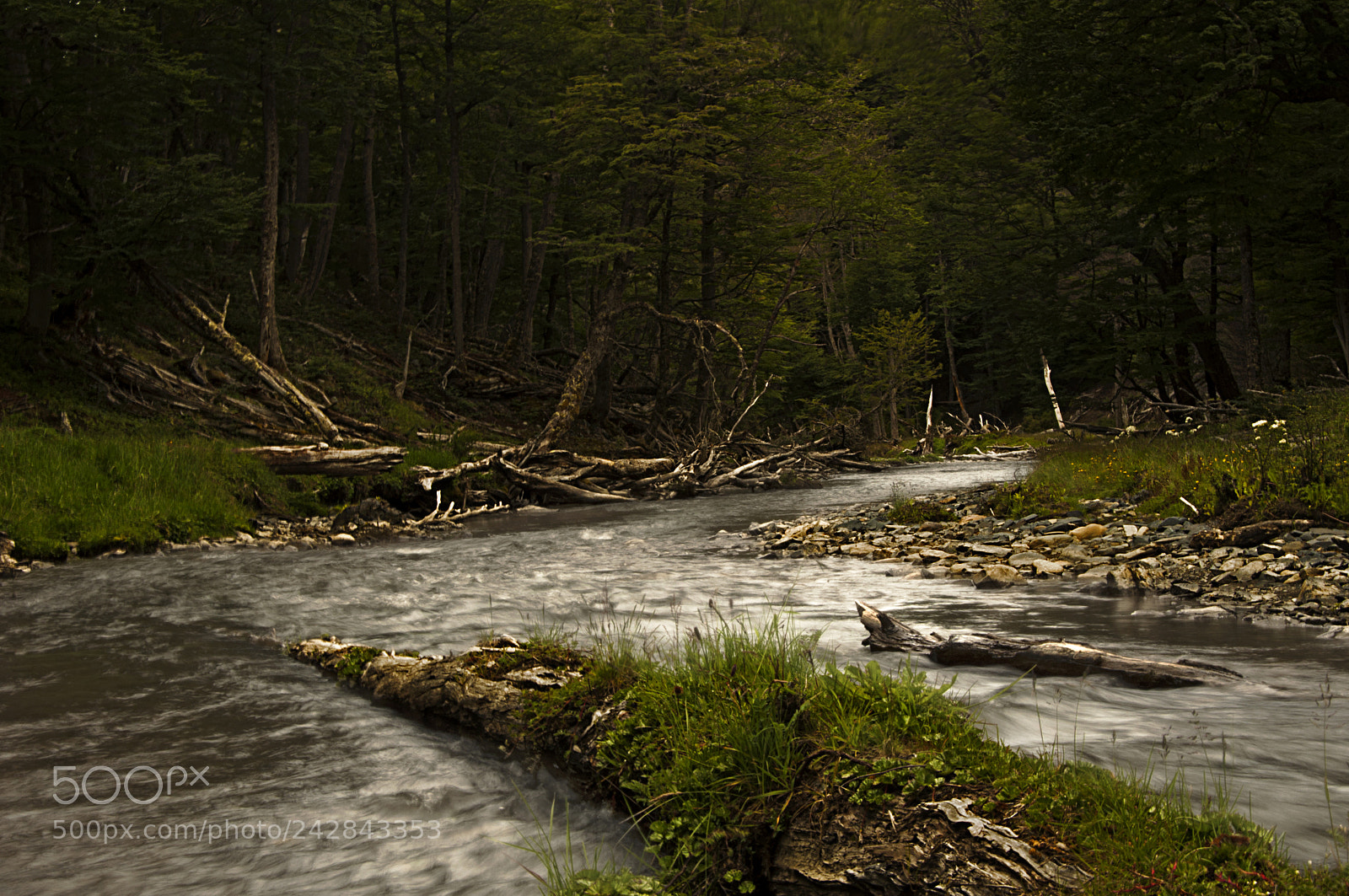 Nikon D90 sample photo. Rio turbio photography