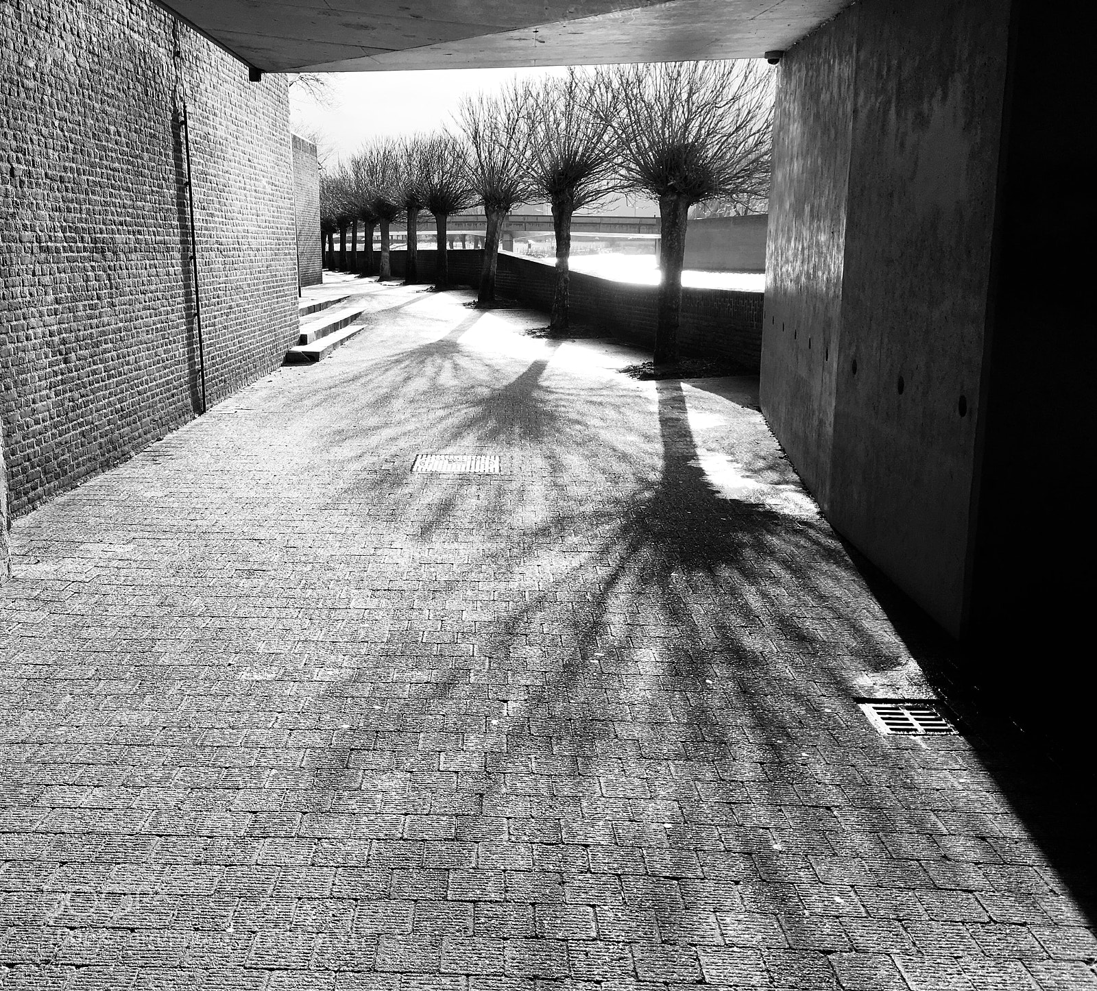 Apple iPhone SE sample photo. Untitled photography