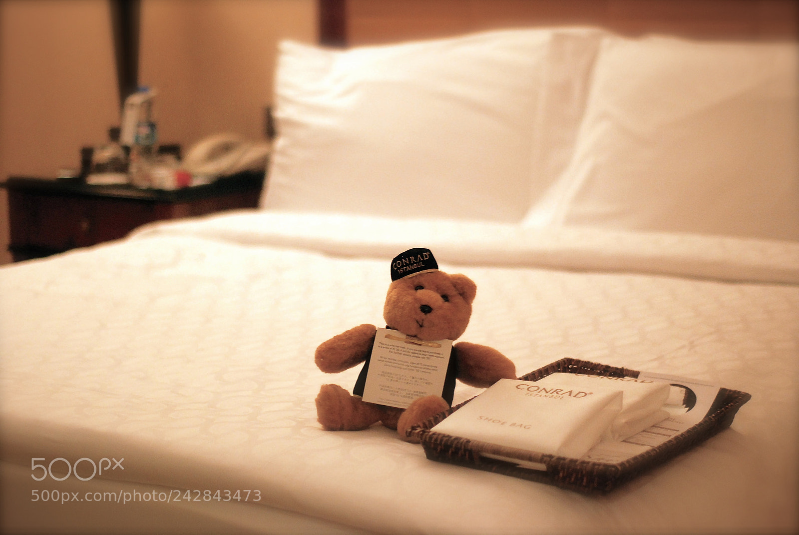 Nikon D80 sample photo. Conrad teddy bear photography