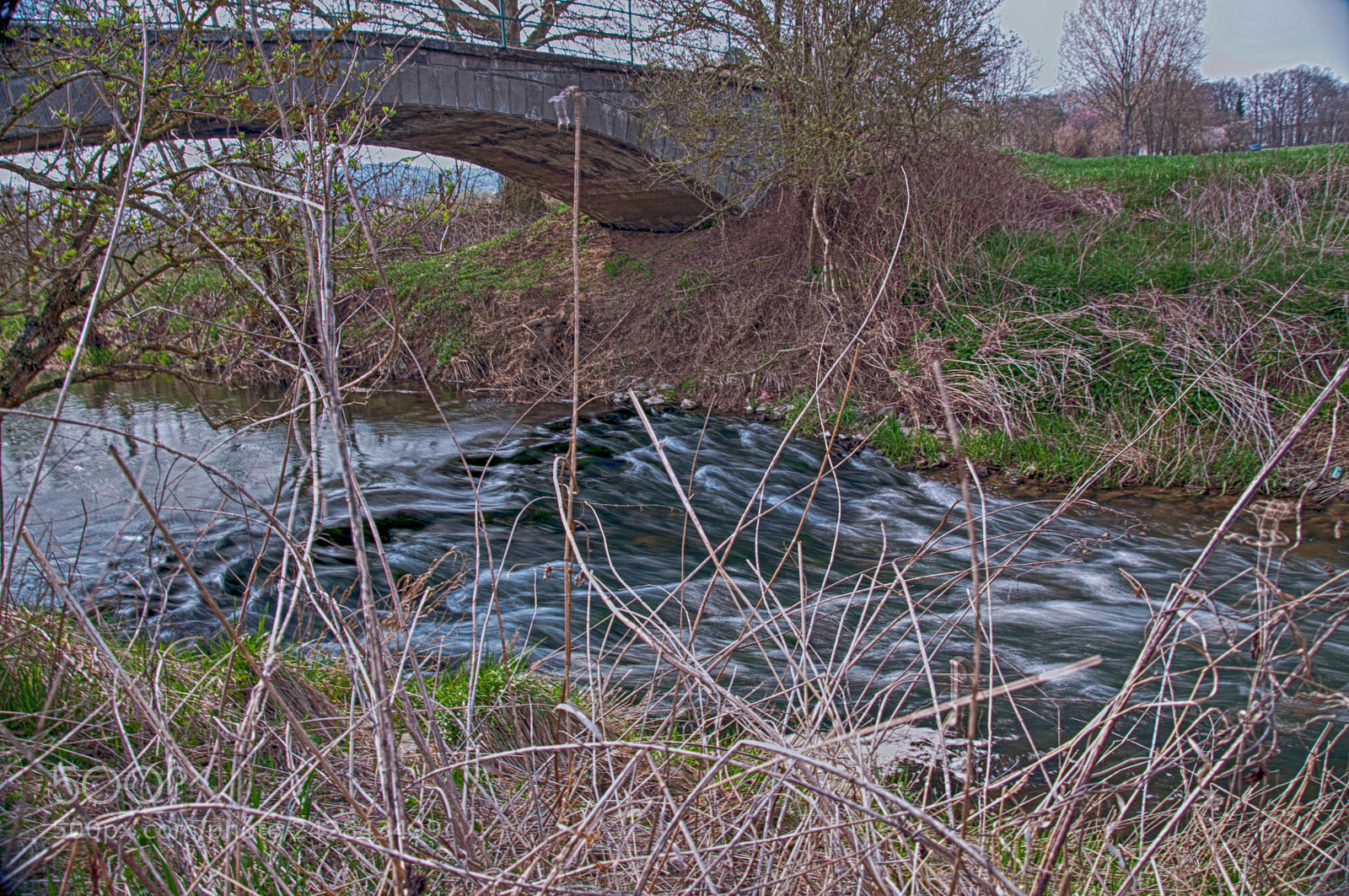 Nikon D5000 sample photo. Am bach photography