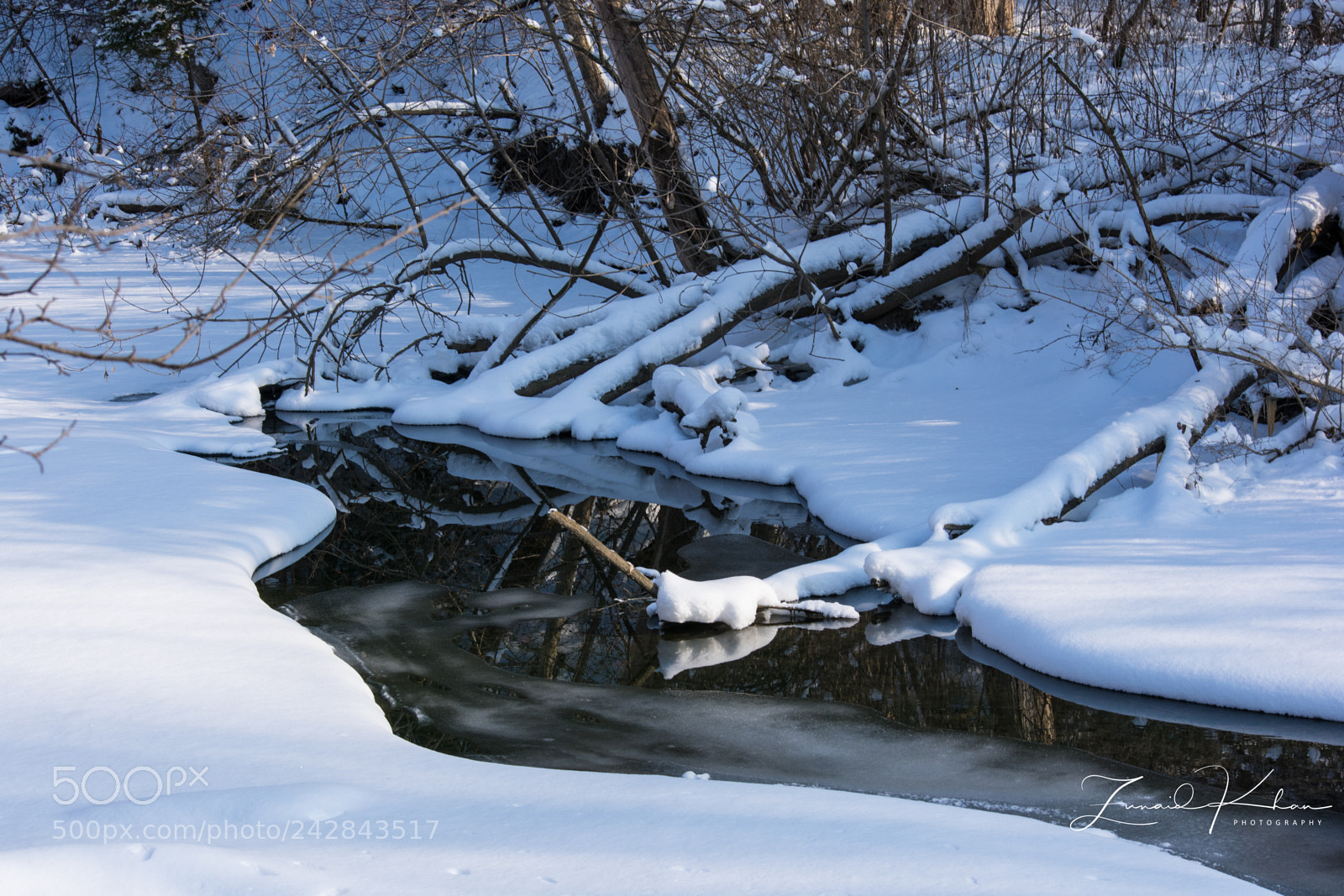 Nikon D3400 sample photo. East don parkland photography