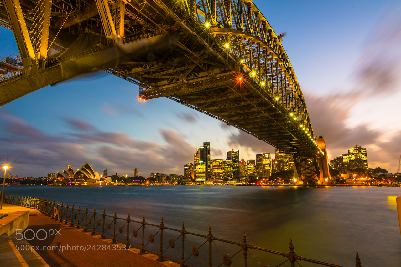 Nikon D810 sample photo. Harbour bridge photography