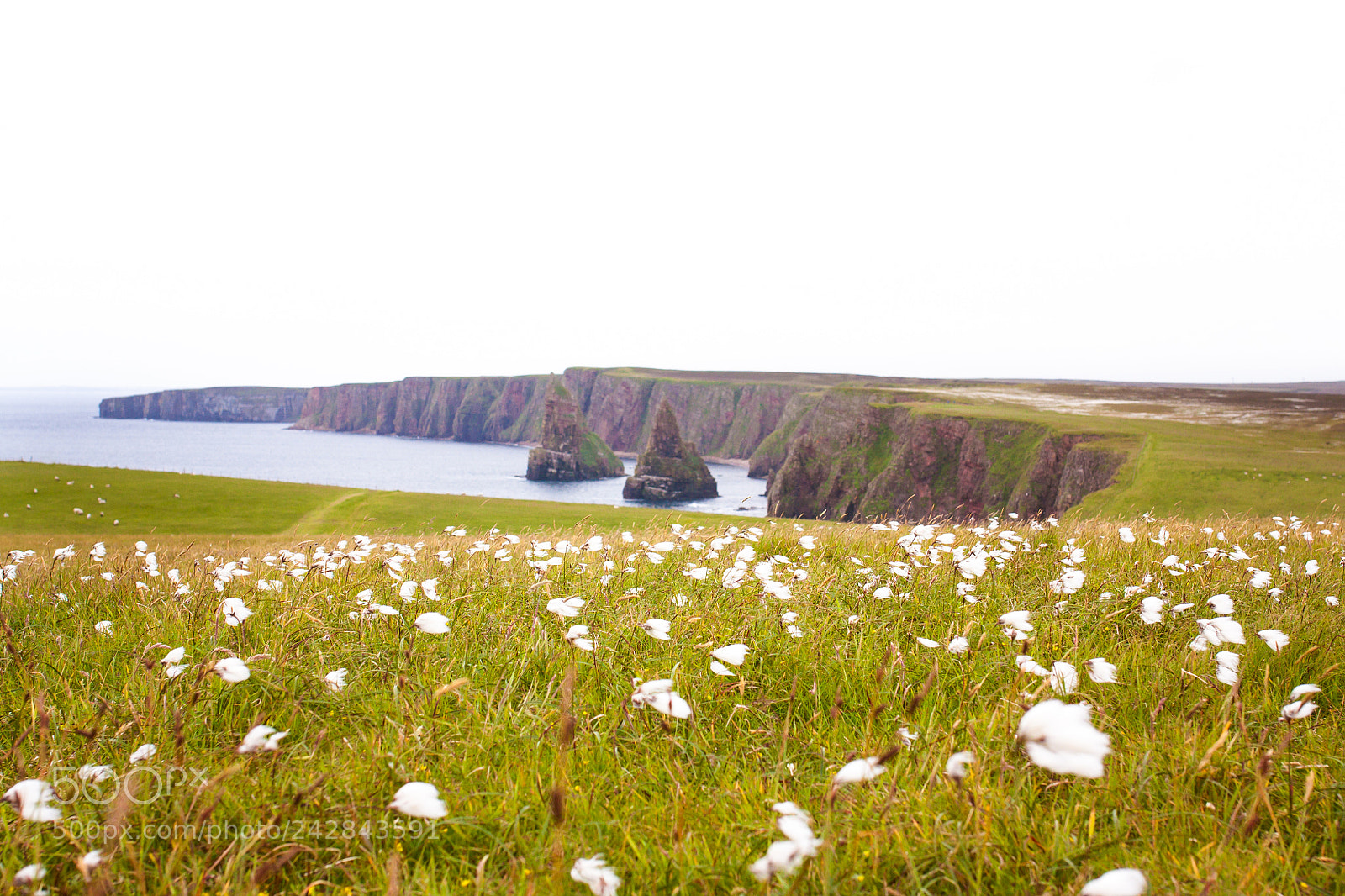 Canon EOS 450D (EOS Rebel XSi / EOS Kiss X2) sample photo. Duncansby head scottland photography