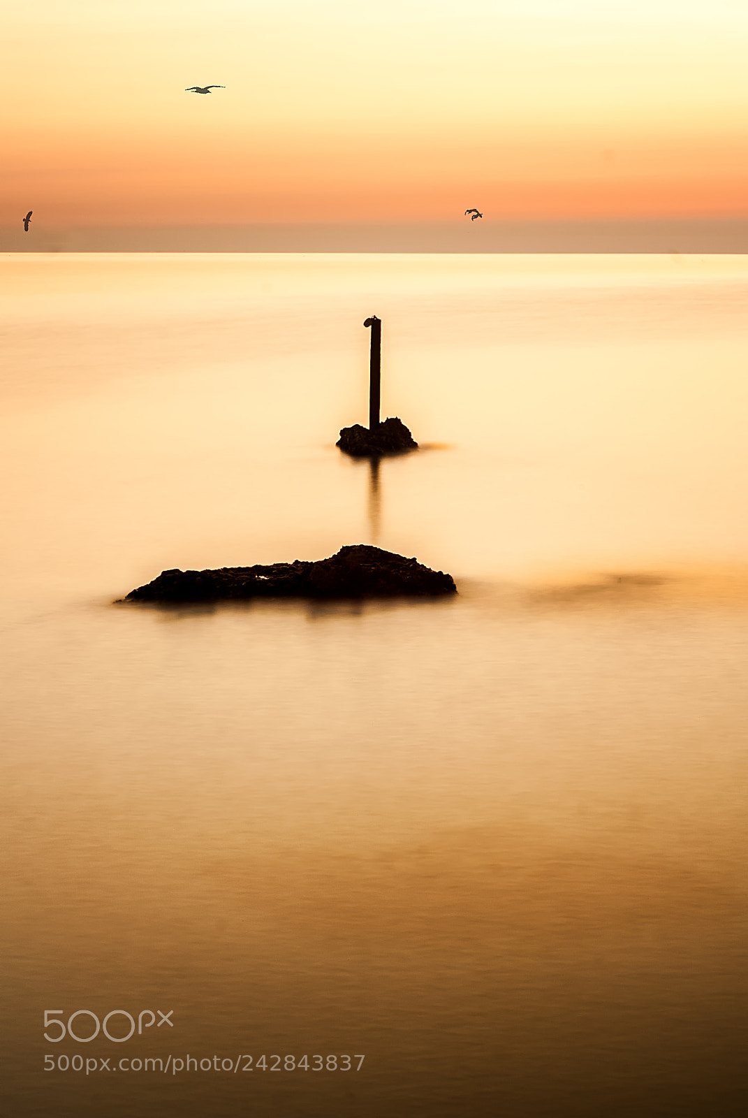 Sony Alpha DSLR-A100 sample photo. Trabocchi-- marina di vasto photography