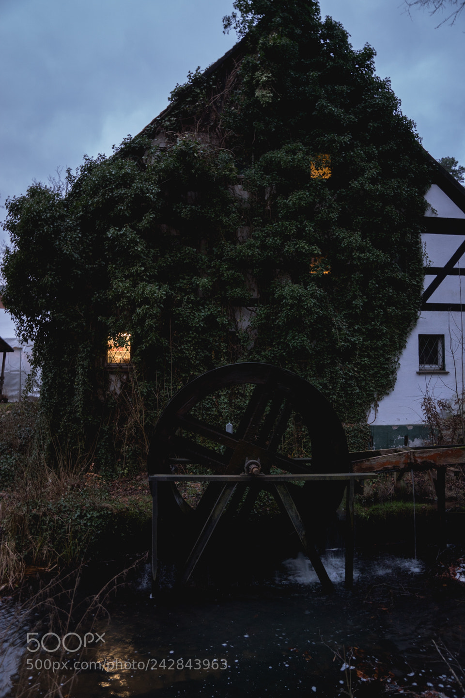 Sony ILCA-77M2 sample photo. Schlaubetal/brandenburg photography