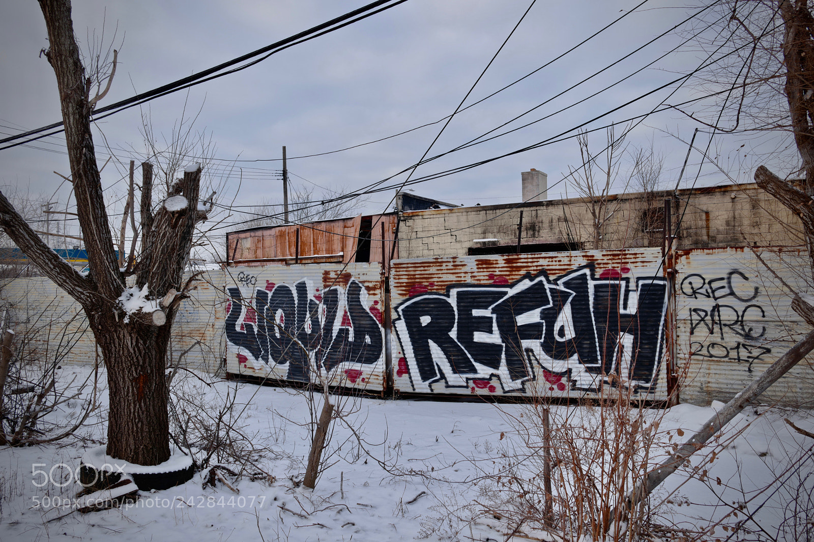 Leica CL sample photo. Liquid x refuh photography