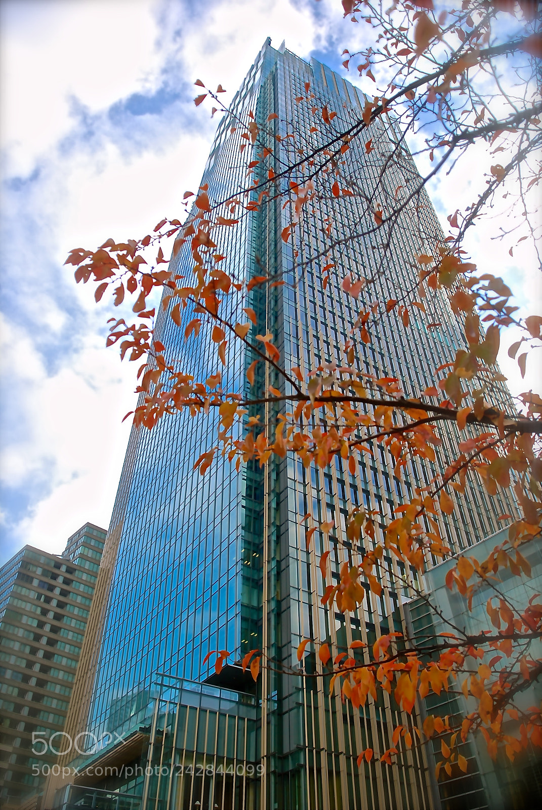 Nikon D80 sample photo. Midtown autumn photography