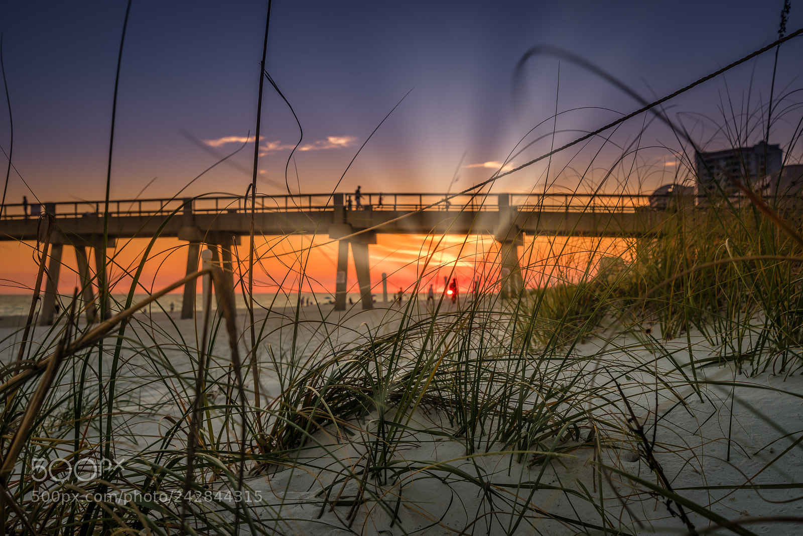 Sony a9 sample photo. Evening sunset view photography
