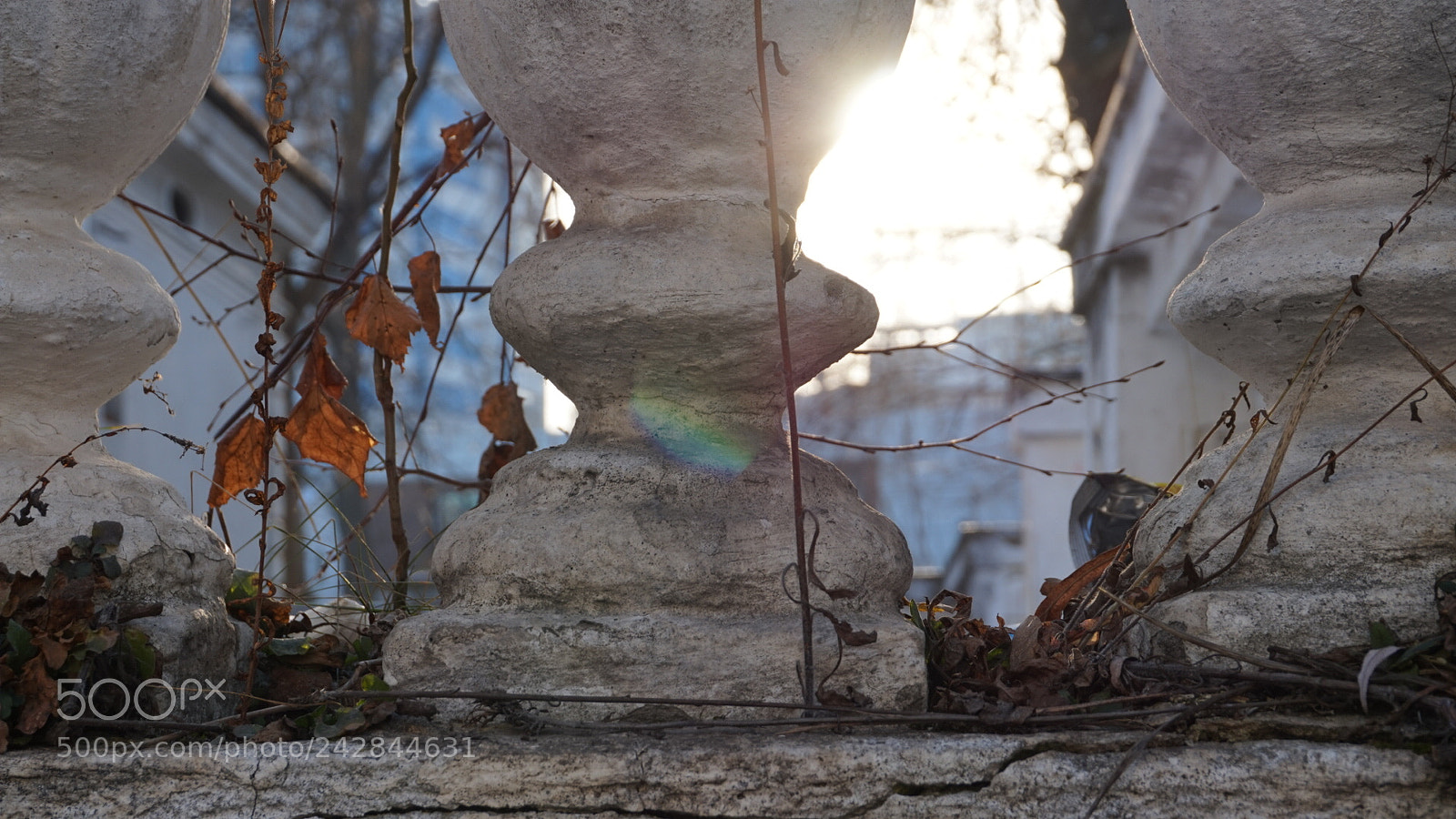 Sony Alpha a5000 (ILCE 5000) sample photo. Untitled photography
