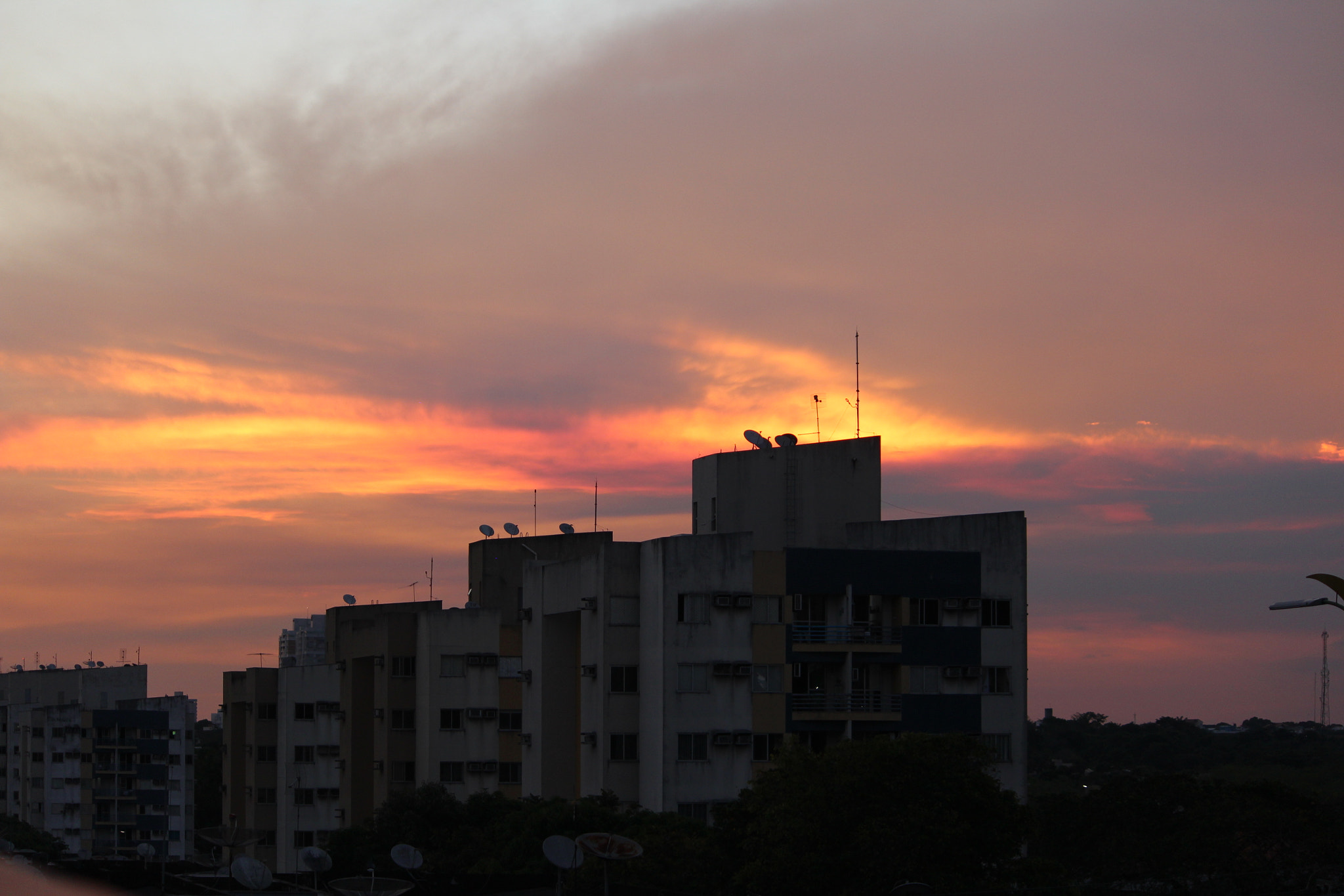 Canon EF-S 55-250mm F4-5.6 IS II sample photo. Manaos photography