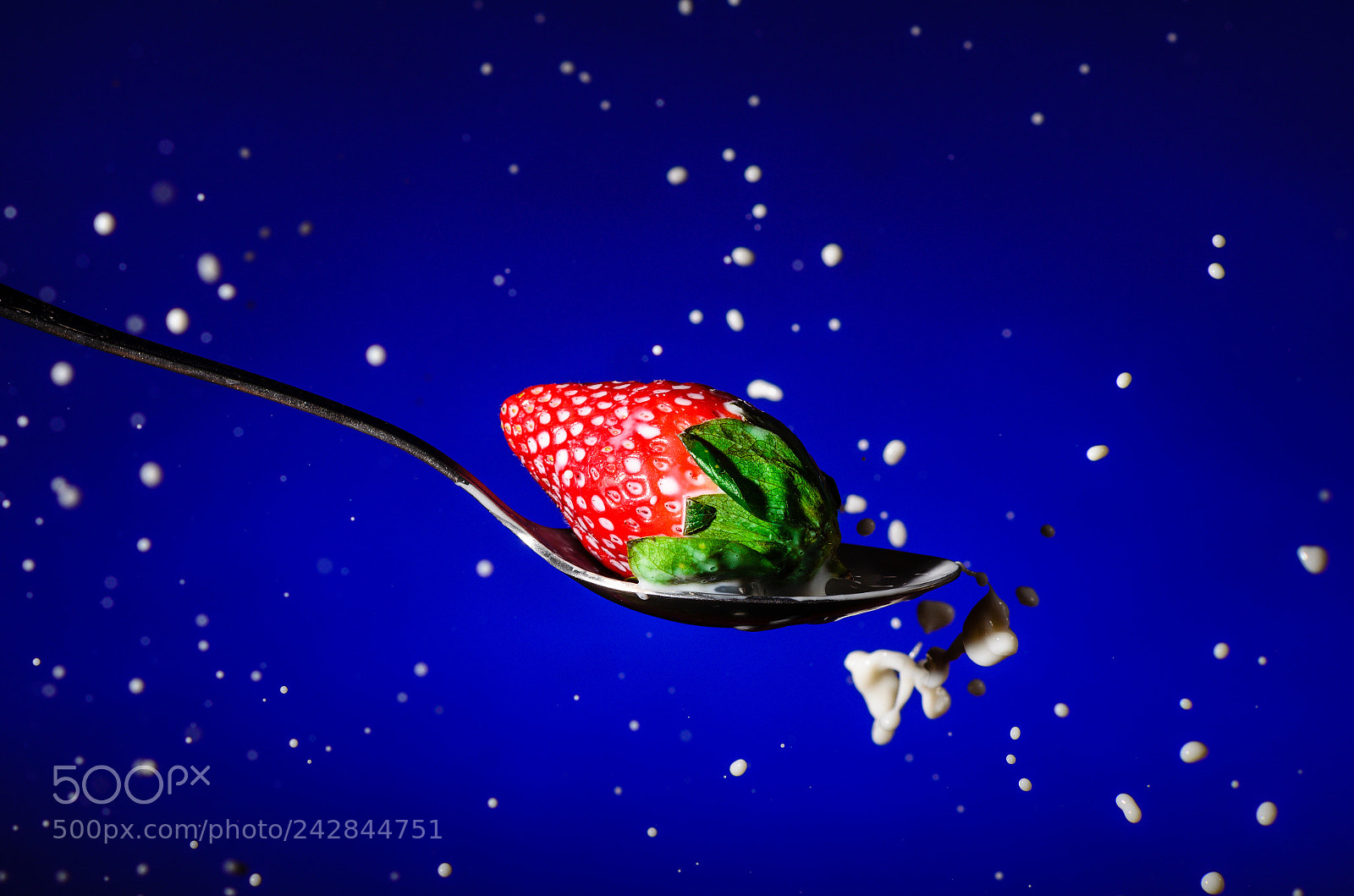 Nikon D5100 sample photo. Strawberry... photography