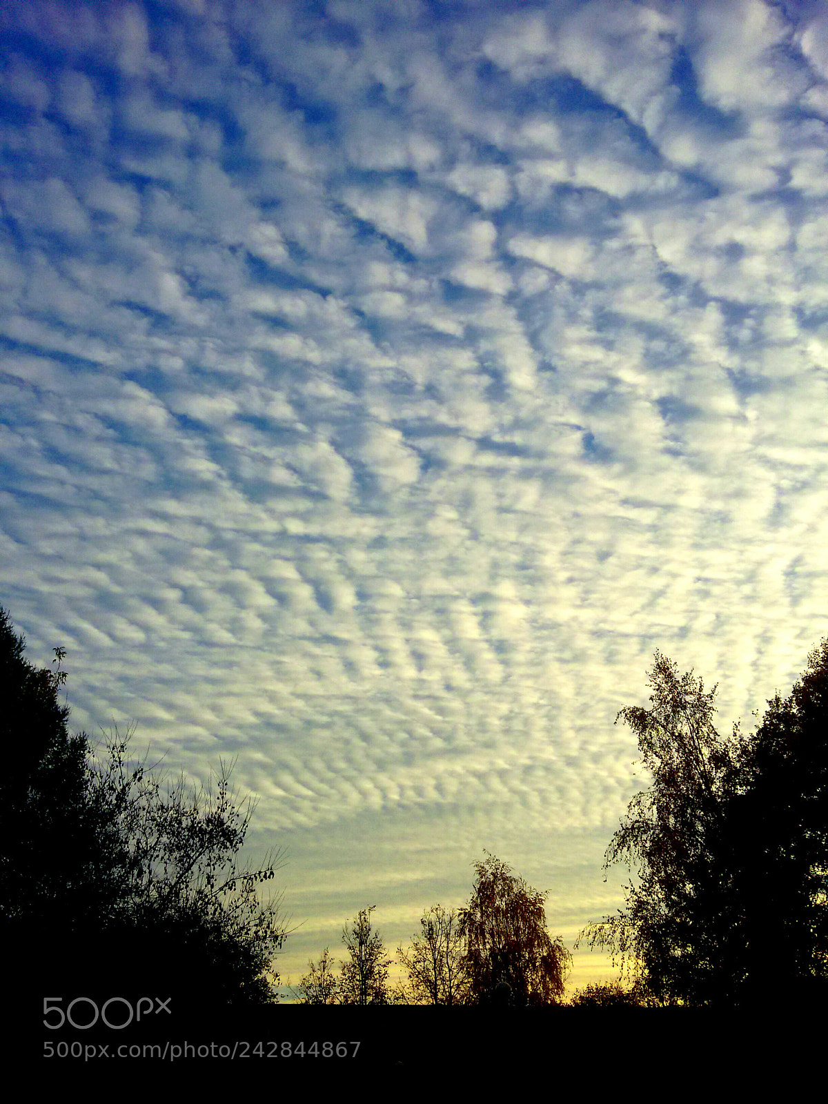 Samsung Galaxy S5 Mini sample photo. Beautiful sunset photography