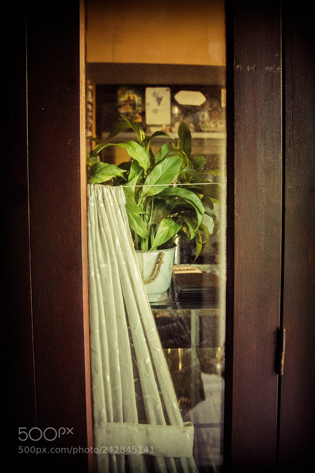 Canon EOS 1200D (EOS Rebel T5 / EOS Kiss X70 / EOS Hi) sample photo. Mg3993 photography
