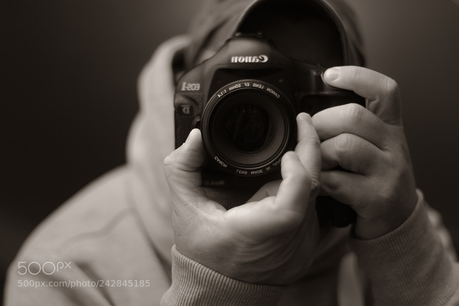 Canon EOS-1D Mark III sample photo. Untitled photography