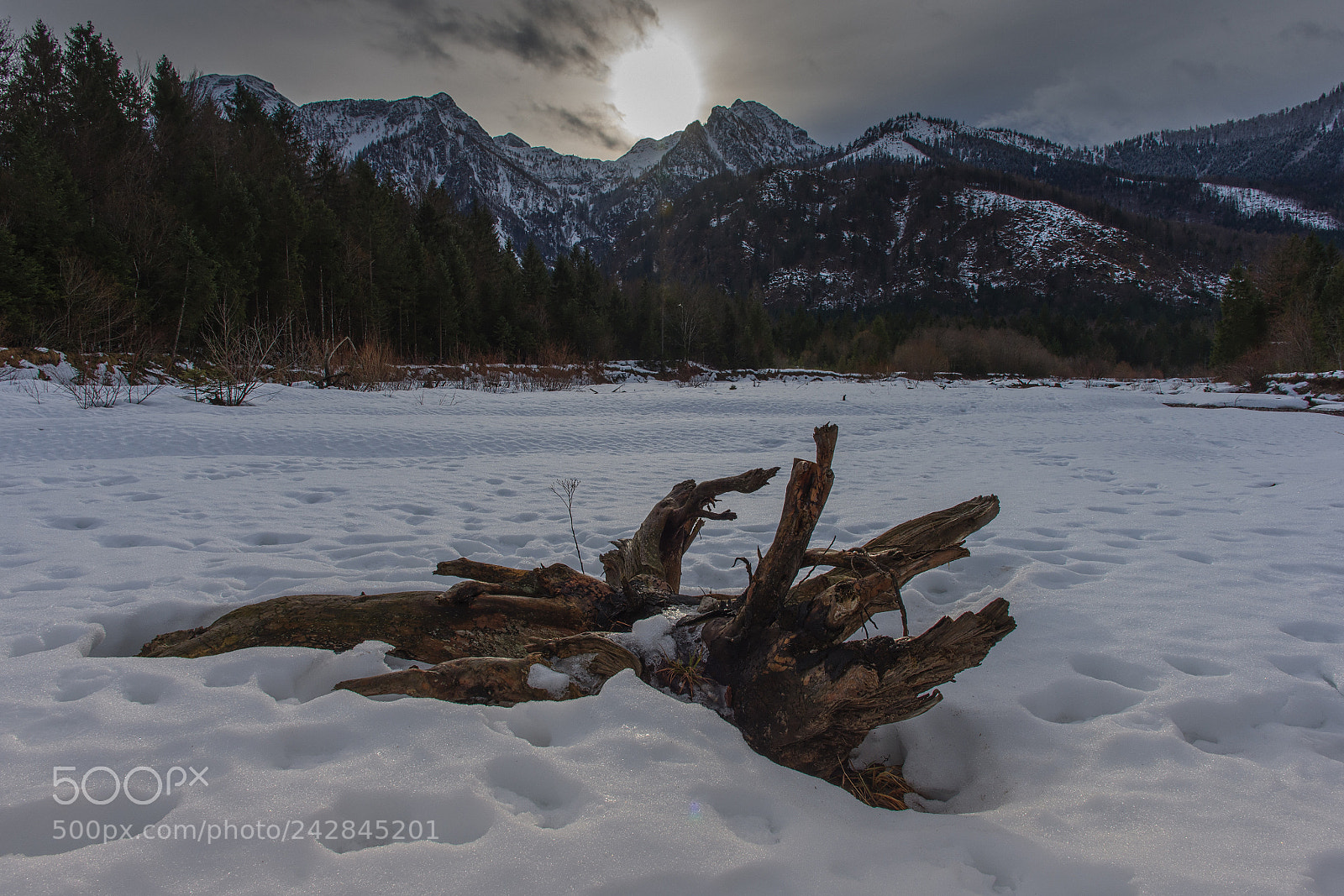 Nikon D7200 sample photo. Winter sun photography