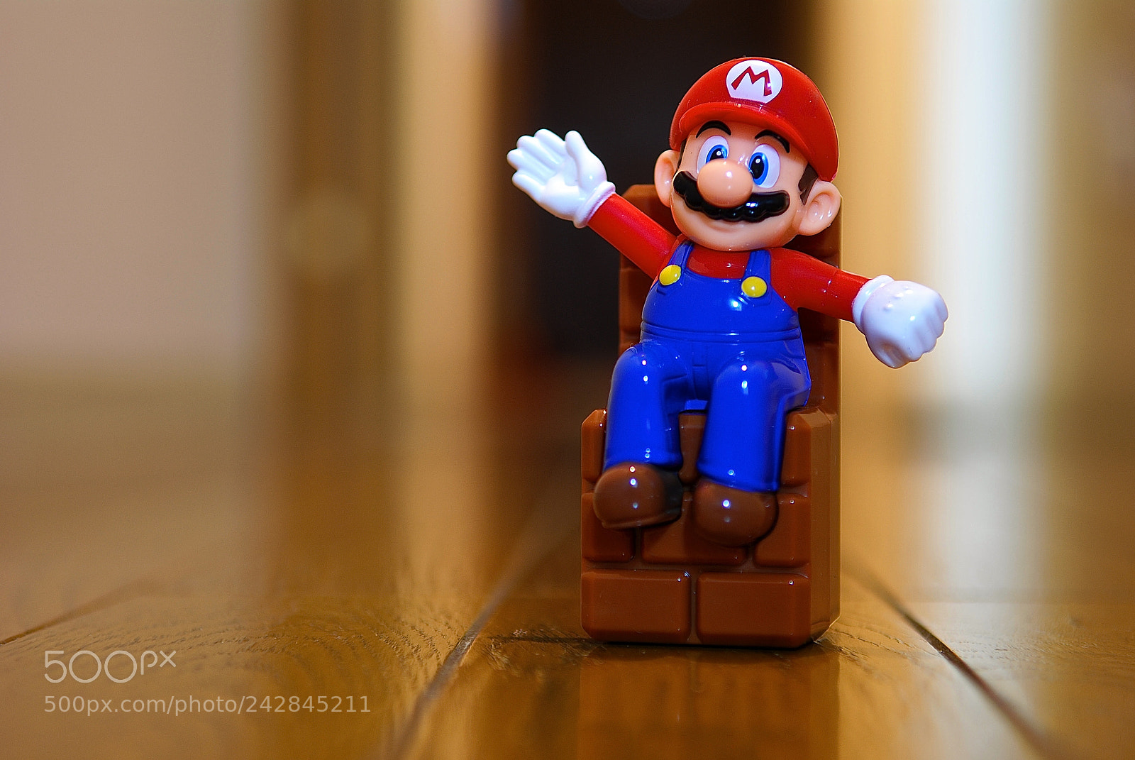 Nikon D80 sample photo. King mario photography