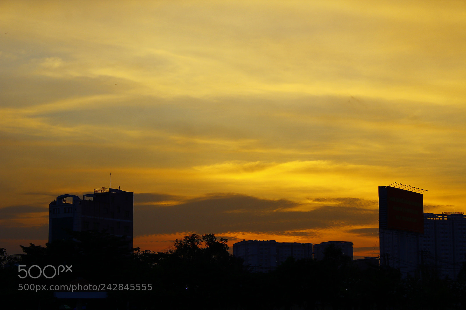 Canon EOS 60D sample photo. Mg photography