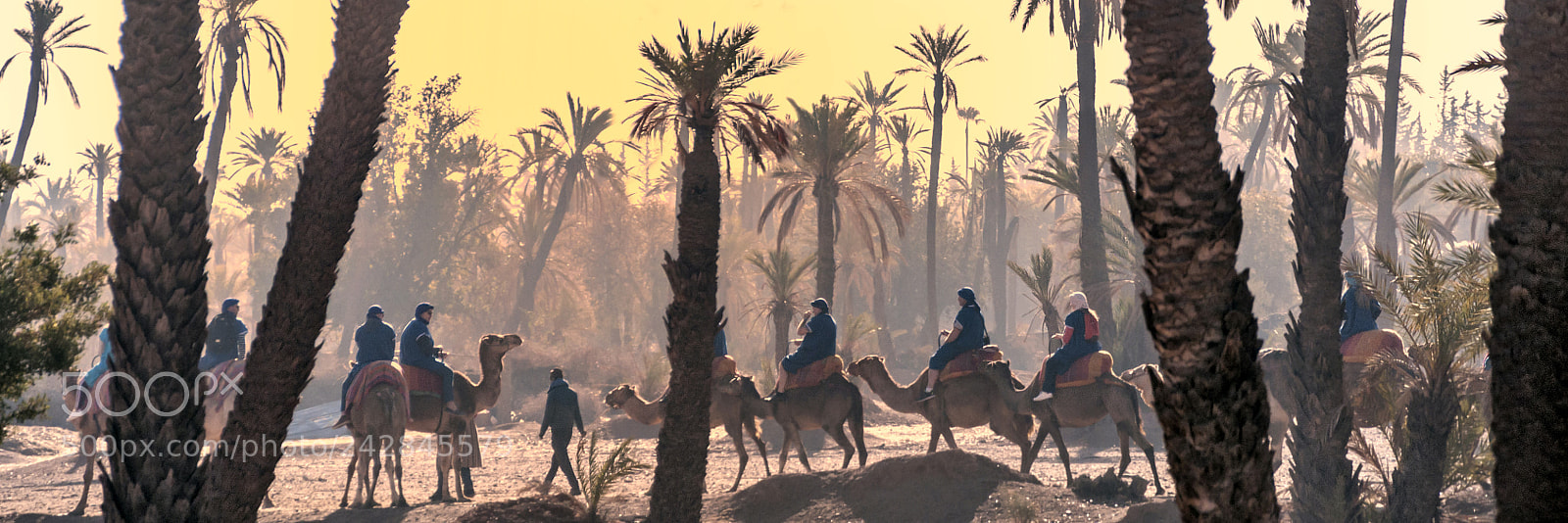 Nikon D90 sample photo. Moroccan camel rides photography
