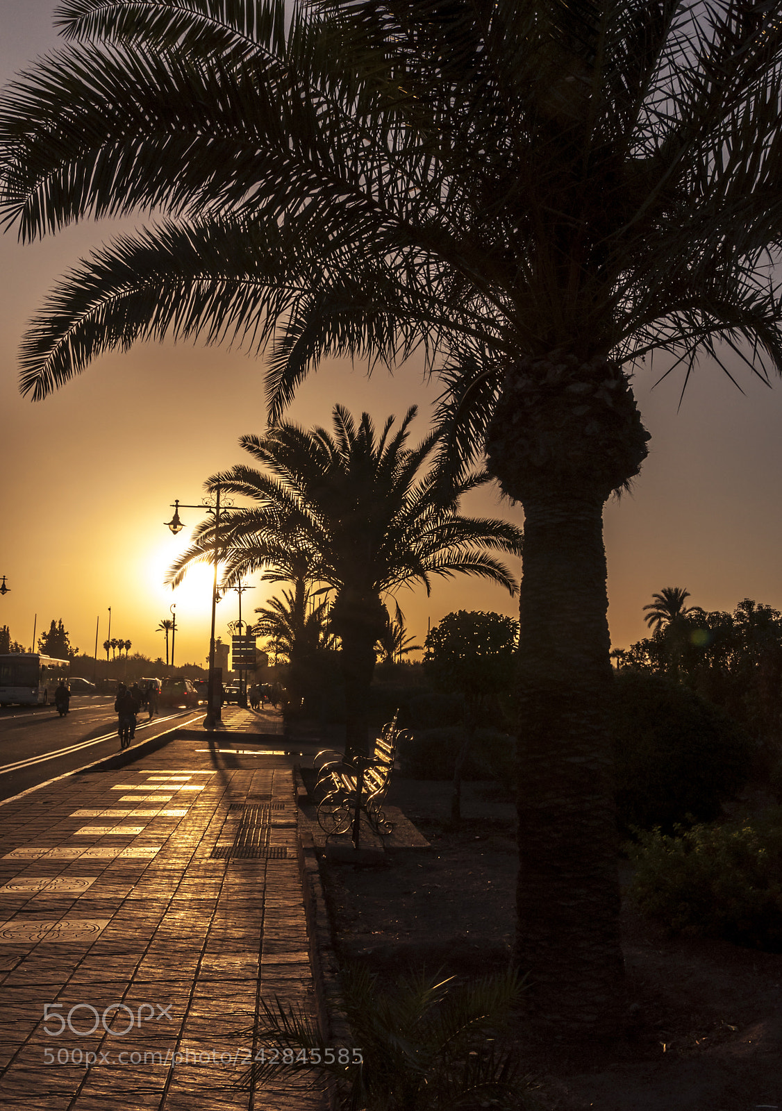 Nikon D90 sample photo. Marrakesh sunset silhouettes photography
