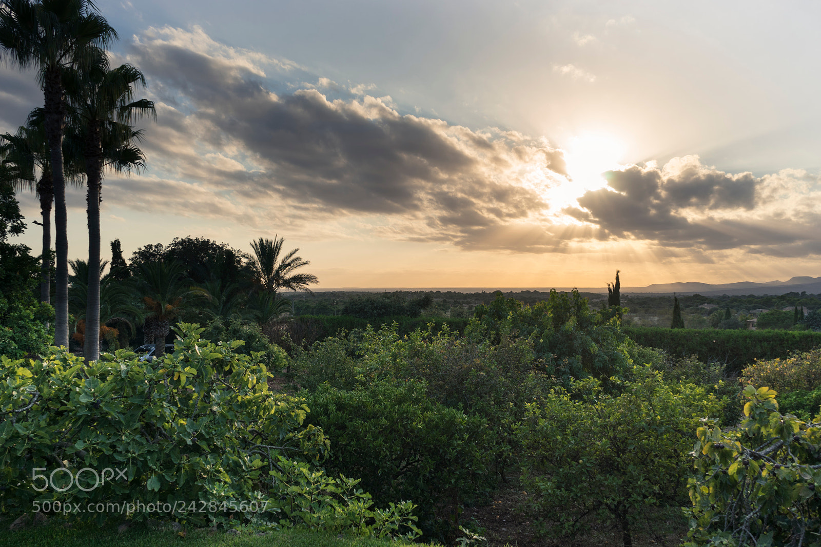Sony a7 sample photo. Sunset in mallorca photography