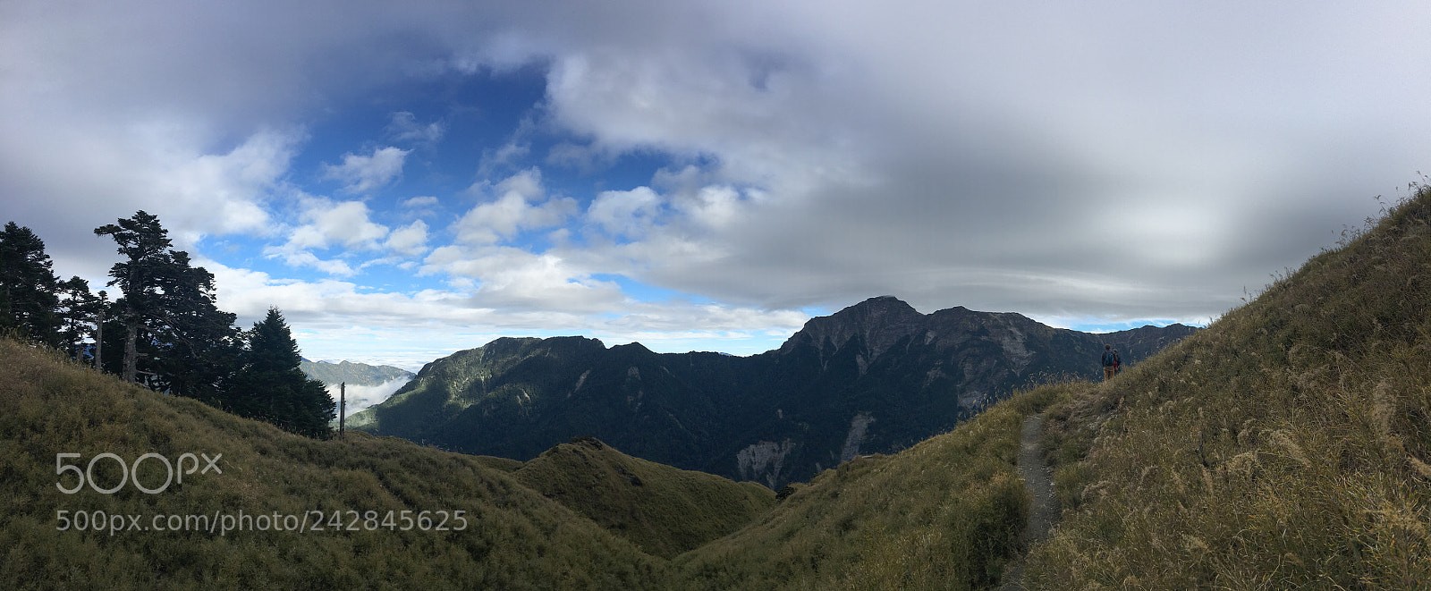 Apple iPhone 6s Plus sample photo. 台灣 小奇萊步道（taiwan) photography